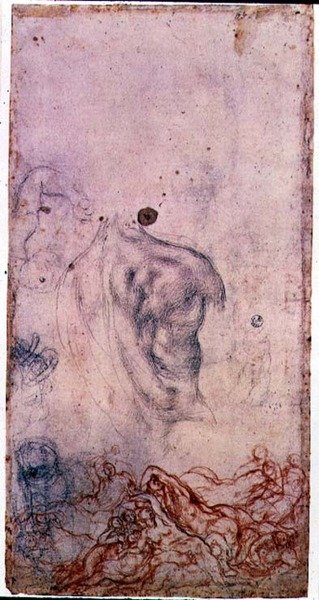 Étude pour un portrait de Cosimo I Giovinetto avec d