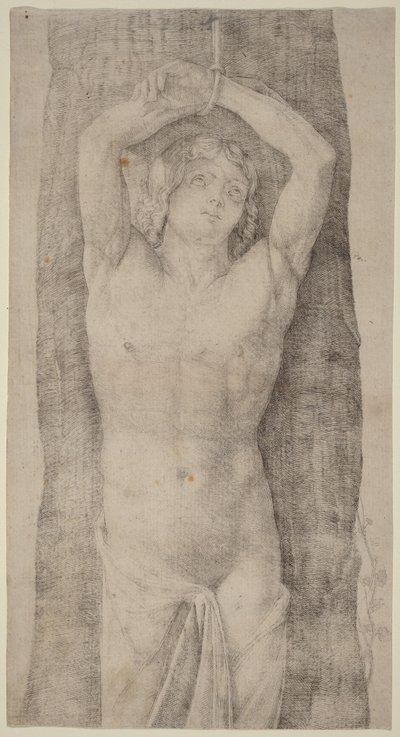 Saint Sébastien, vers 1509 (gravure) - Jacopo de