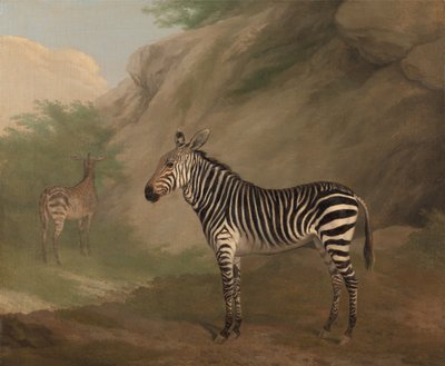 Zèbre - Jacques-Laurent Agasse