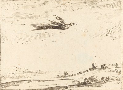 Oiseau de paradis - Jacques Callot