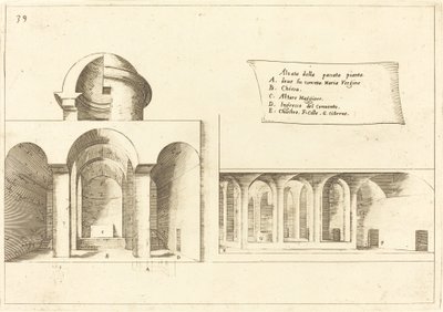 Élévation d