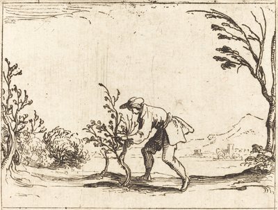 Homme coupant un baumier - Jacques Callot