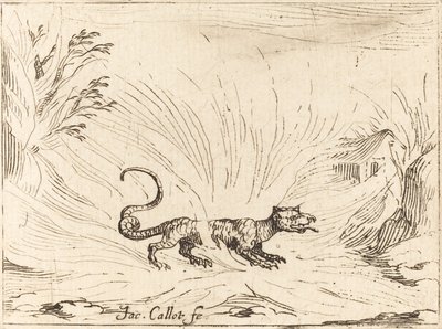 Salamandre entourée de flammes - Jacques Callot