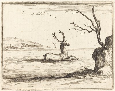 Cerf dans l