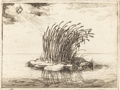Les roseaux et le vent - Jacques Callot