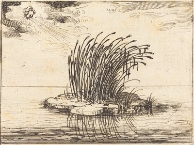 Les Roseaux et le Vent - Jacques Callot