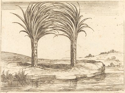 Deux palmiers - Jacques Callot