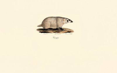  - Jacques Christophe Werner