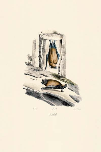  - Jacques Christophe Werner