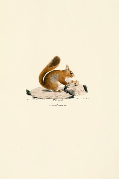  - Jacques Christophe Werner