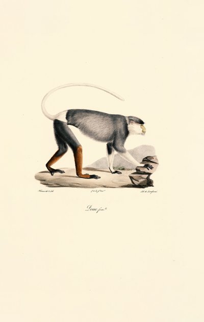  - Jacques Christophe Werner