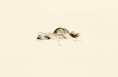  - Jacques Christophe Werner