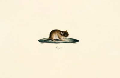 - Jacques Christophe Werner