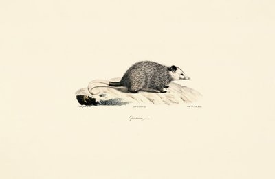  - Jacques Christophe Werner