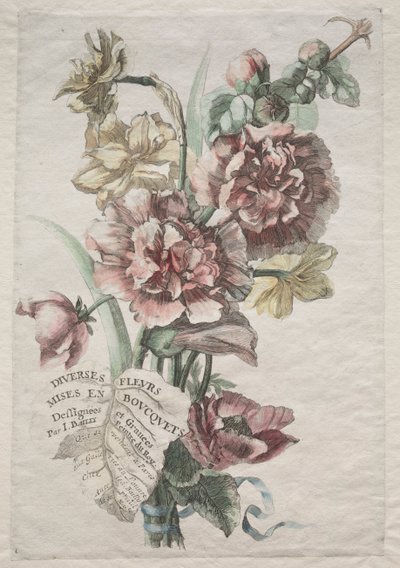 Diverses fleurs mises en bouquets : No. 1 - Roses trémières et narcisses, vers 1670 - Jacques I Bailly