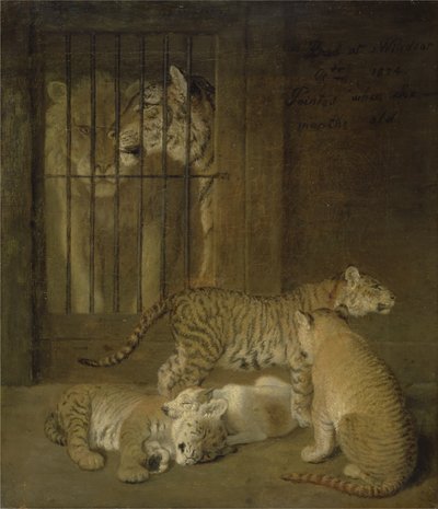 Groupe de louveteaux élevés entre un lion et une tigresse - Jacques Laurent Agasse