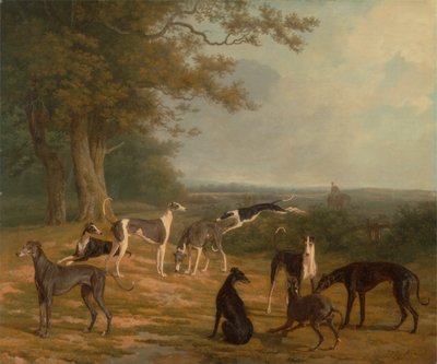Neuf lévriers dans un paysage - Jacques Laurent Agasse