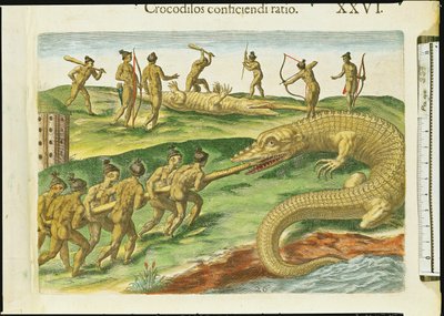 Chasse aux Crocodiles, de 
