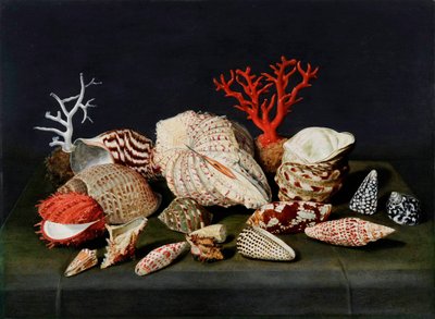Nature morte aux coquillages et coraux - Jacques Linard