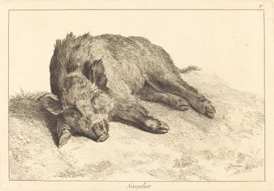 Sanglier couché, tête à gauche - Jacques Philippe Le Bas and Jean Eric Rehn after Jean Baptiste Oudry