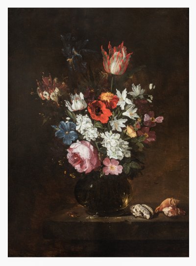 Une rose, tulipe, iris, coquelicots, chèvrefeuille et autres fleurs dans un vase en verre avec des coquillages sur une corniche - Jacques de Claeuw