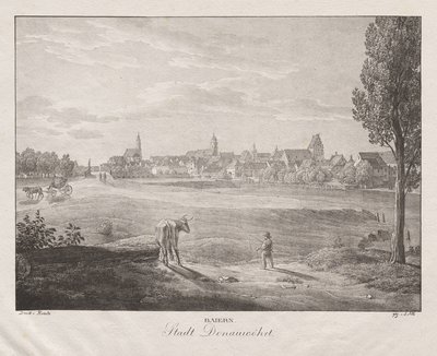 Bavière, ville de Donauwörth - Jakob Alt