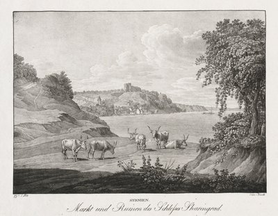 Syrmien, marché et ruines du château de Sharengrad - Jakob Alt