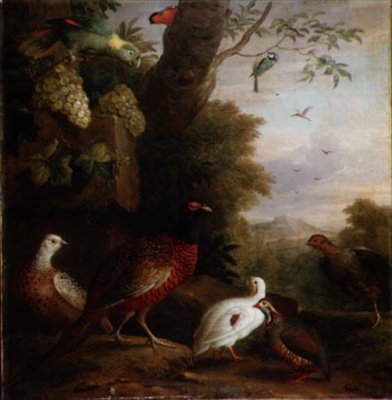 Oiseaux dans un Paysage - Jakob Bogdani or Bogdany