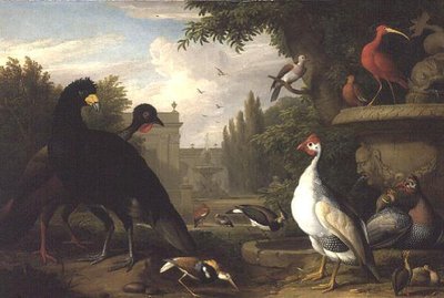 Oiseaux exotiques dans un jardin ornemental - Jakob Bogdani or Bogdany