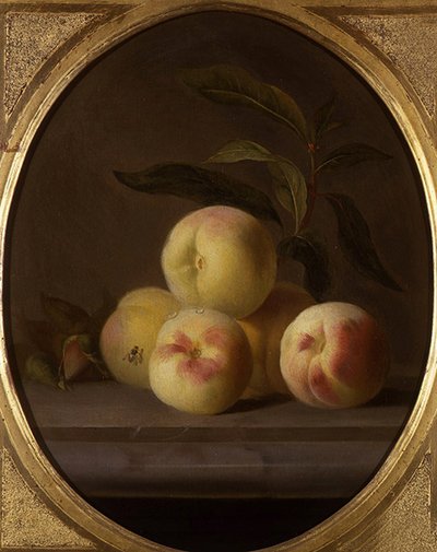 Nature morte de fruits avec une mouche - Jakob Bogdani or Bogdany