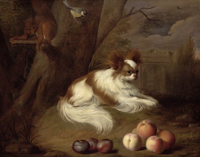 Image inconnue - Jakob Bogdani or Bogdany