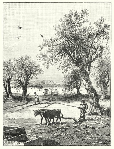 Labour dans un vignoble - James (after) Clark