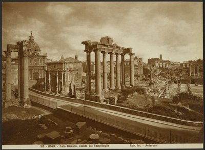 Le Forum romain, vu de la capitale - James Anderson
