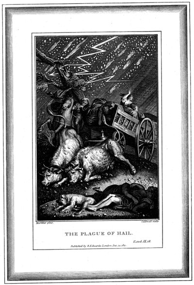 La peste de la pluie et de la grêle, l