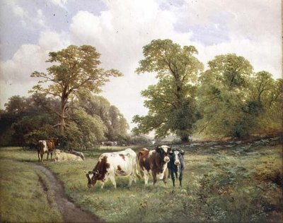 Bétail paissant près d