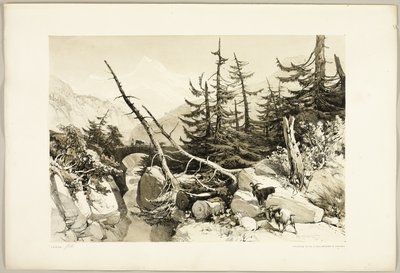 Mélèze, du Parc et la Forêt - James Duffield Harding