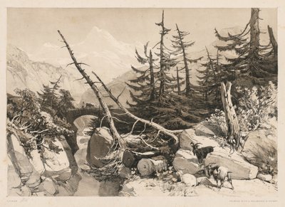Pins et pont, 1841 - James Duffield Harding