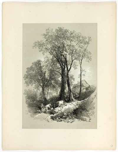 Pont de Shipley, Devon, de Sélections pittoresques - James Duffield Harding