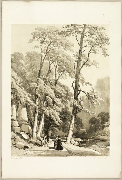 Sycomore, du parc et de la forêt - James Duffield Harding