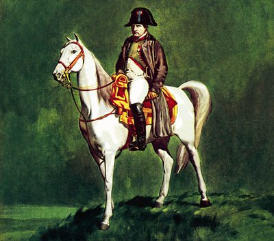 Napoléon sur son chargeur favori, "Marengo". - James Edwin McConnell