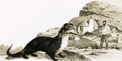 Loutre avec poisson et homme en train de pêcher - James Edwin McConnell