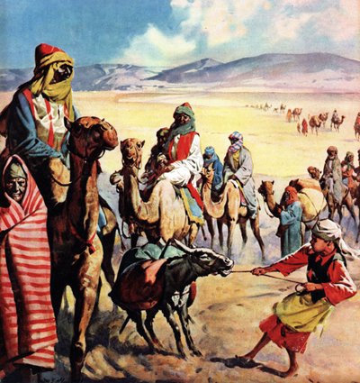 Les voyageurs des pays de la Bible - James Edwin McConnell