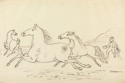 Trois chevaux et un garçon d