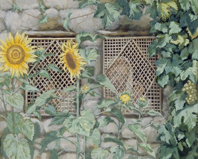 Jésus regardant à travers une treille avec des tournesols, illustration pour La Vie du Christ, c.1886-96 - James Jacques Joseph Tissot