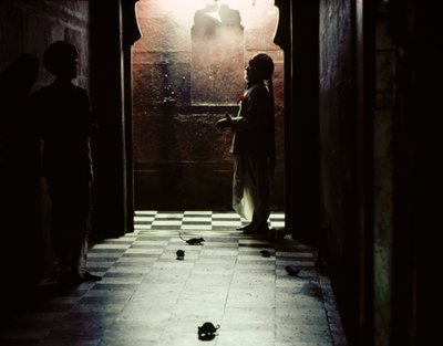  - James L Stanfield