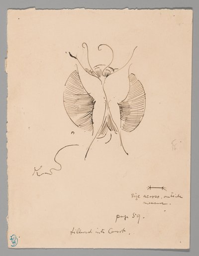 Papillon (recto) ; Fragment de papillon (verso) - James McNeill Whistler