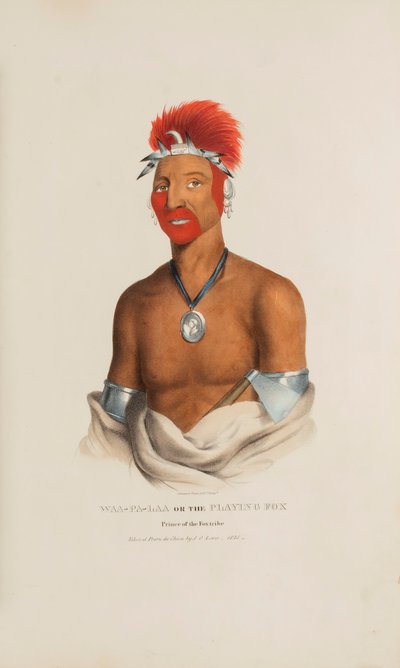 WAA-PA-LAA ou le renard joueur ; prince de la tribu des renards, tiré du Portefeuille autochtone - James Otto Lewis