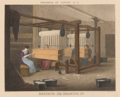 Progrès du coton : #9 - Reeding ou drawing in - James Richard Barfoot