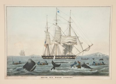 Pêche à la baleine dans les mers du Sud - James S. Baillie