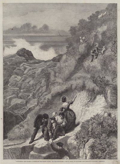 Rassemblement des troupeaux, une scène sur la côte galloise - James Sant
